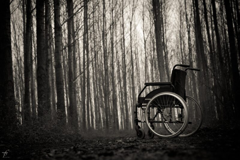 森の中の車椅子のイメージ画像